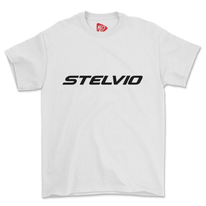 Moto Guzzi Stelvio Adventure