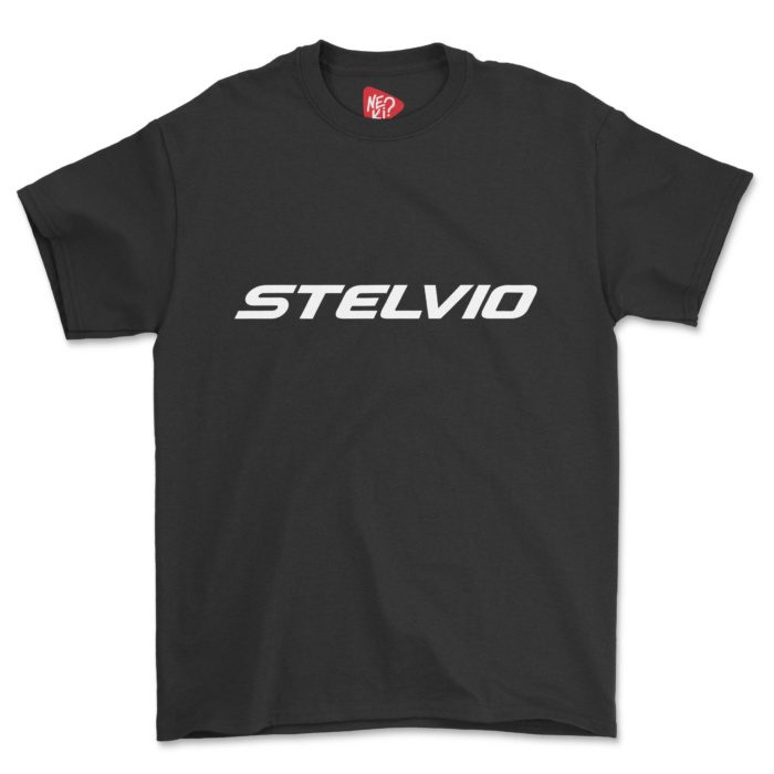 Moto Guzzi Stelvio Adventure - Görsel 2